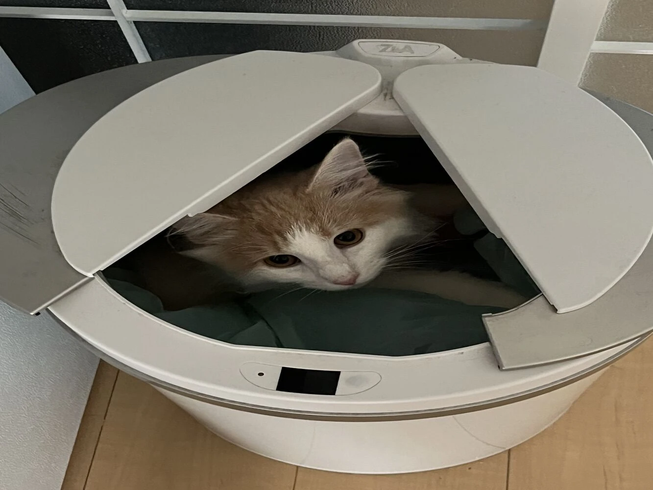 ブログ画像